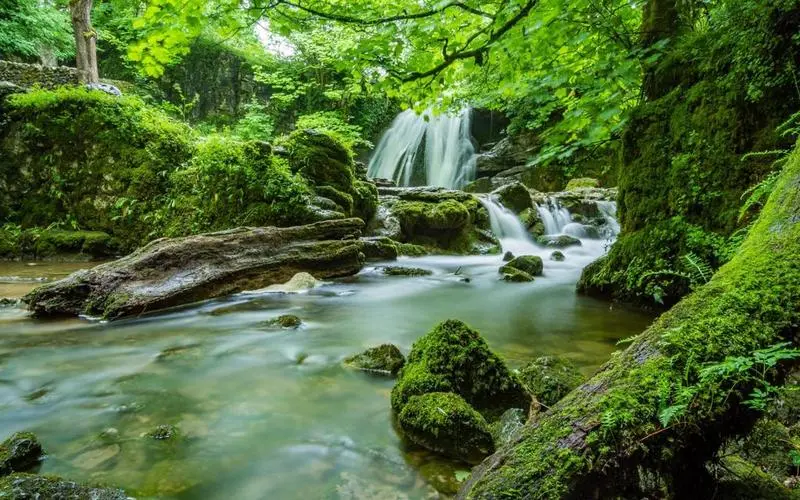 高效绿色科技